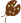 bug